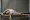 Achieving Team Cohesion through Workplace Wellness Programs